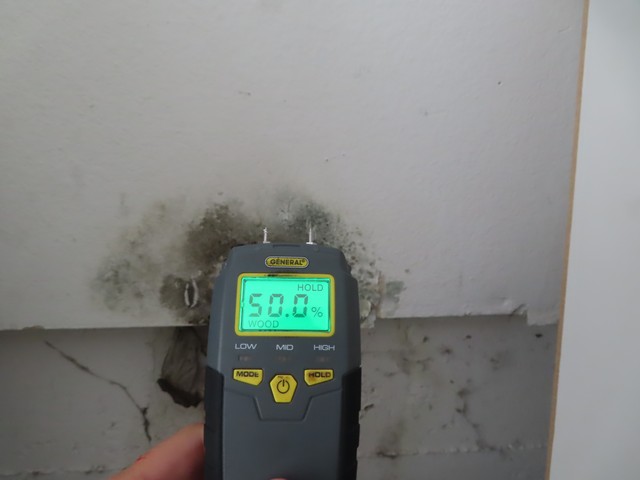 Mold Inspection