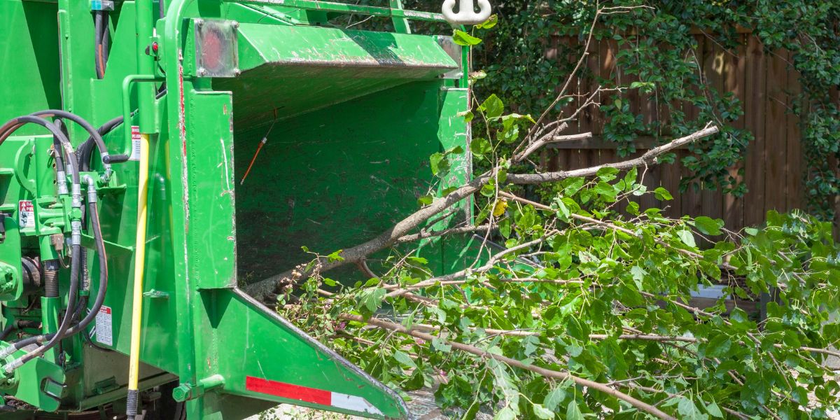 Emergency Tree Service in Denver